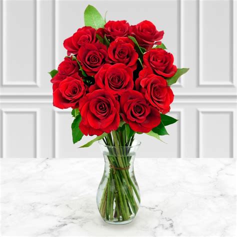 dozen red roses images|dozen roses pictures free.